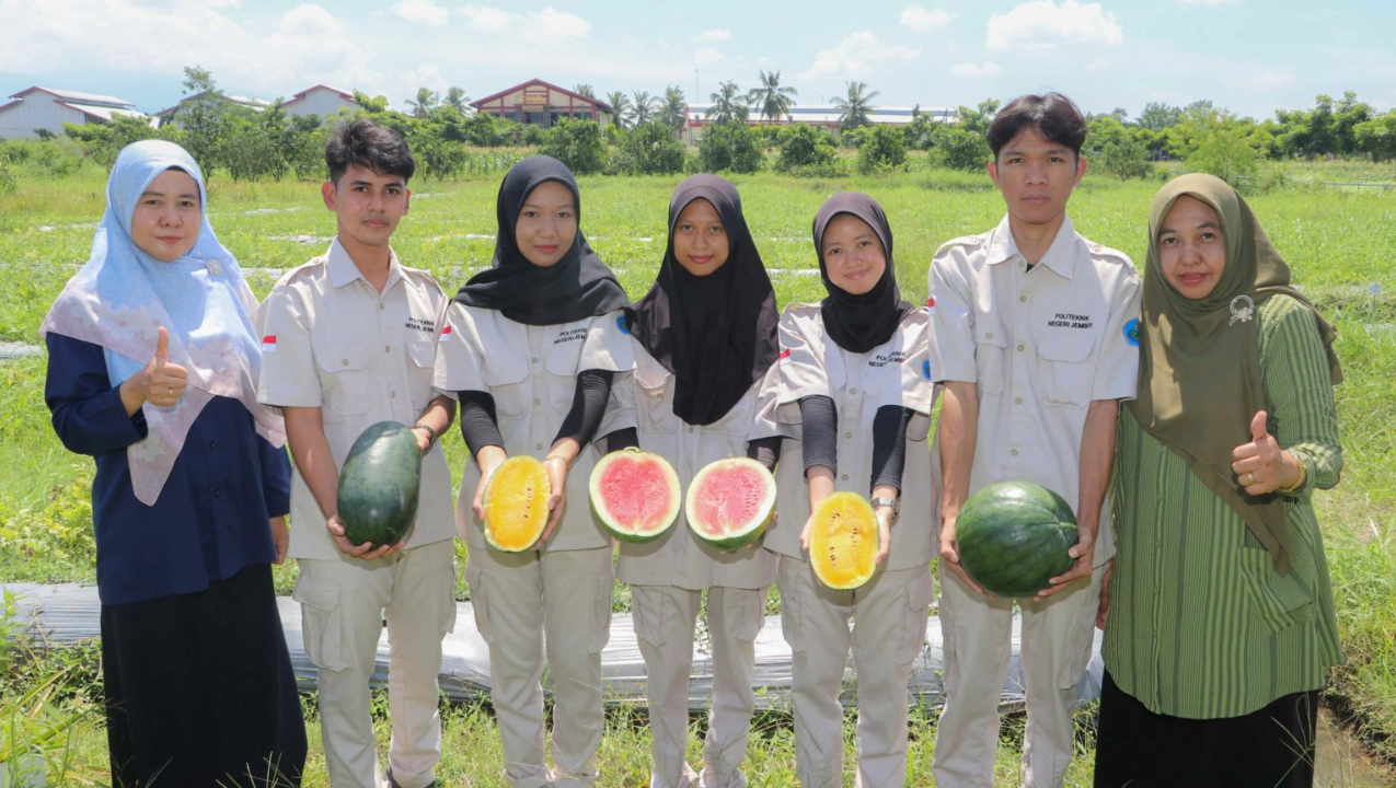 Bisa Dipesan Online, Mahasiswa Polije Hasilkan Dua Jenis Semangka dari PBL