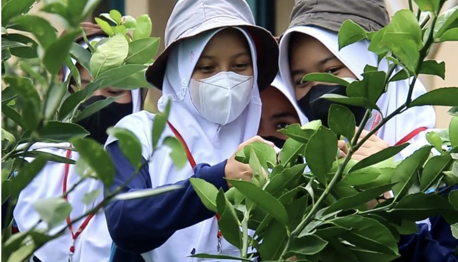 Unggulkan Kearifan Lokal, SMKN 1 Pacet Sukses Kembangkan Agro-Eko-Eduwisata Menarik di Cianjur