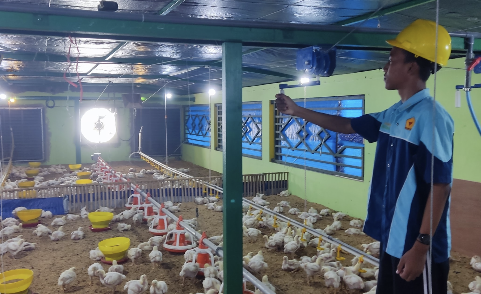 Penuhi Kebutuhan Mitra Industri, SMKN 1 Kademangan Suplai Ribuan Ayam Pedaging