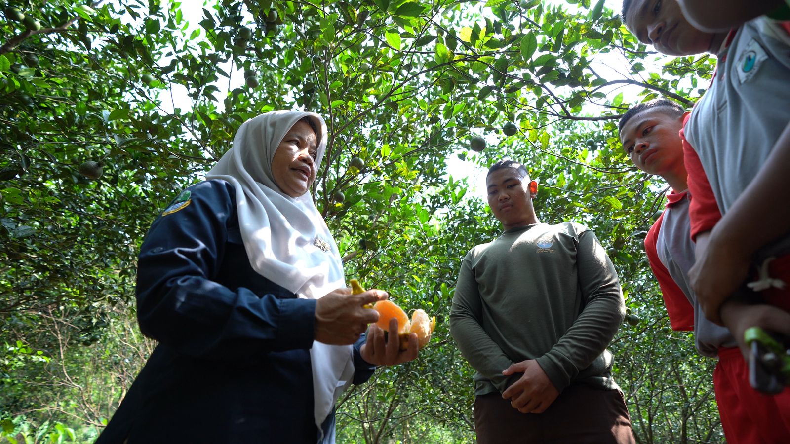 Agar Tak Kecewa, Kenali Ciri-ciri Ini Sebelum Memilih Buah Jeruk