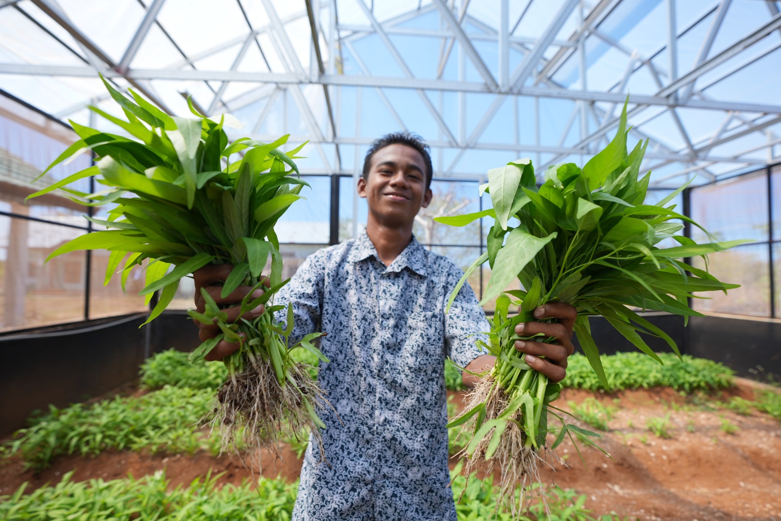 5 Profesi Menjanjikan untuk Siswa SMK Konsentrasi Keahlian Agribisnis Tanaman Pangan dan Hortikultura