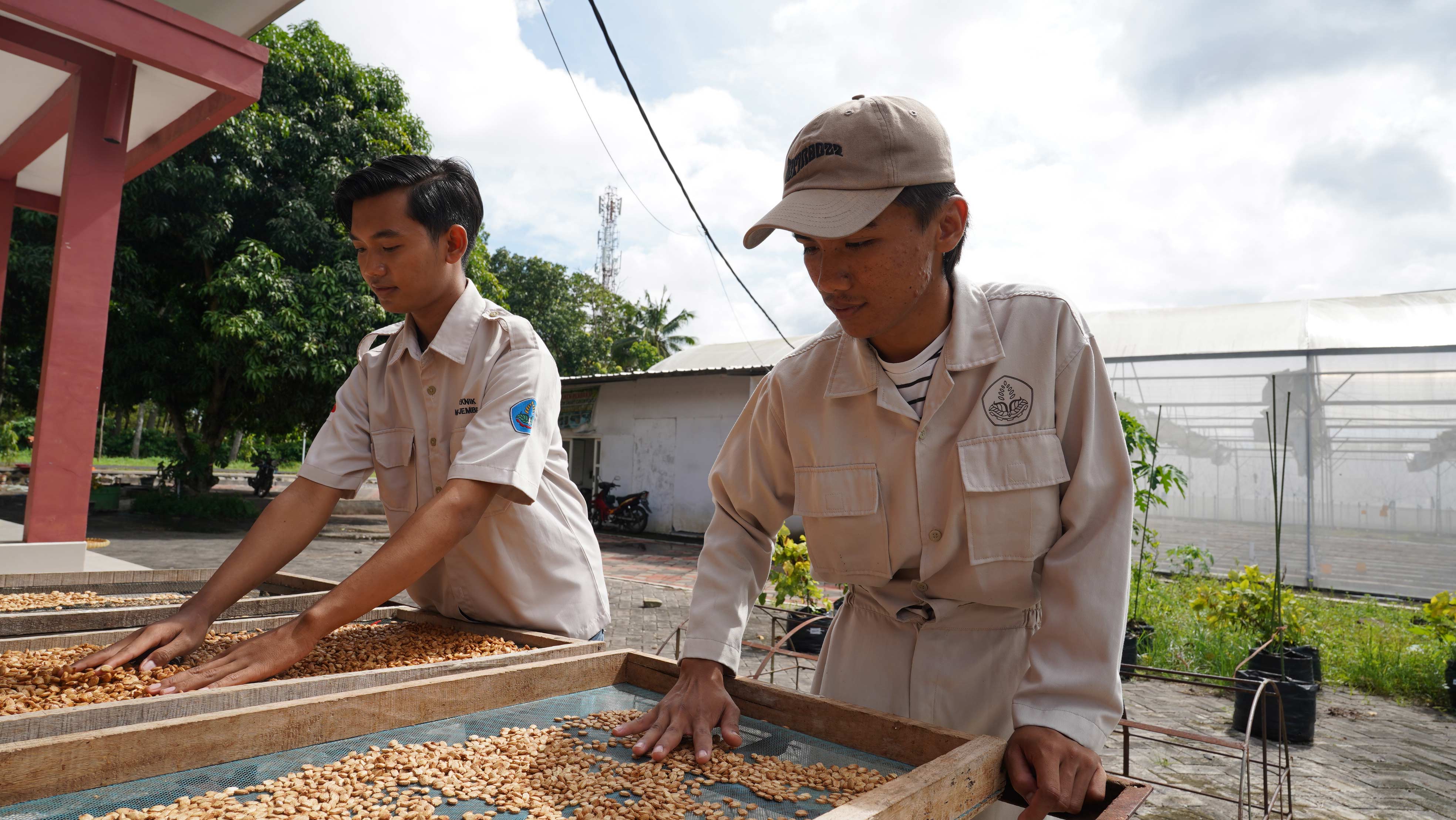 Kolaborasi melalui PBL, Polije dan Industri Produksi Benih Paria