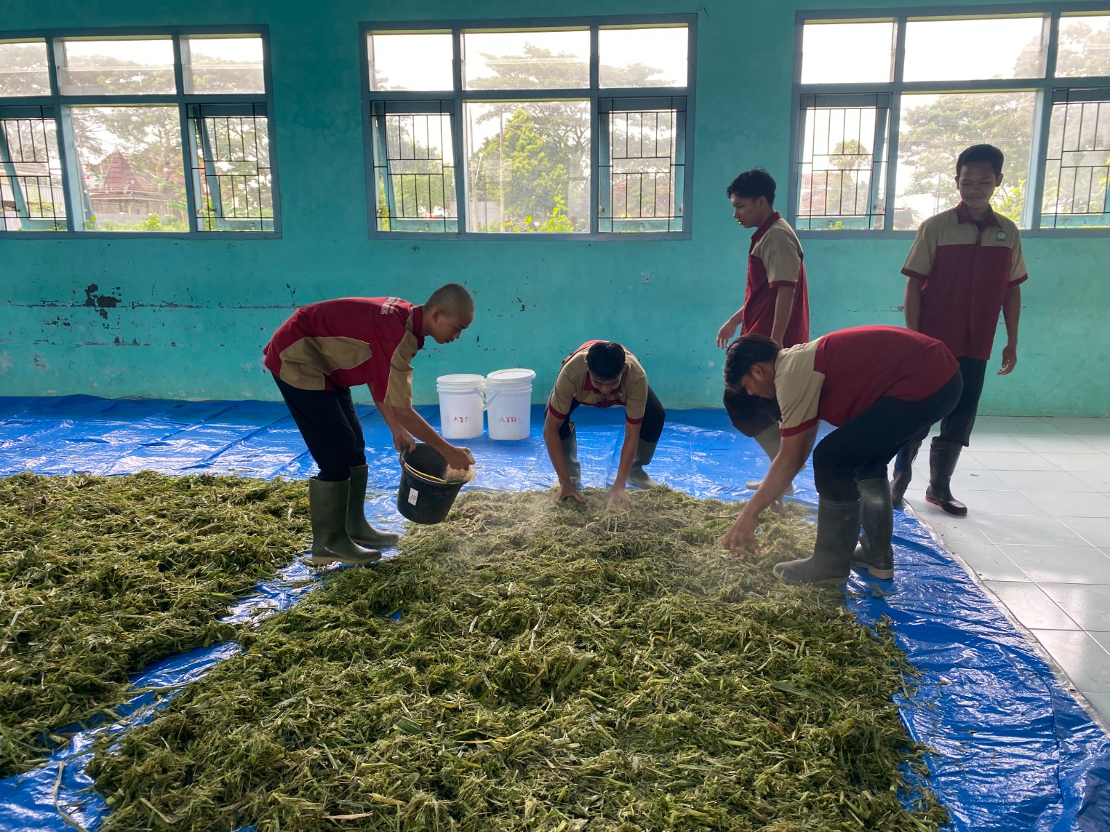 Manfaatkan Rumput Liar, SMKN 1 Tulungagung Kembangkan Produk Pakan Ternak Fermentasi Berkualitas