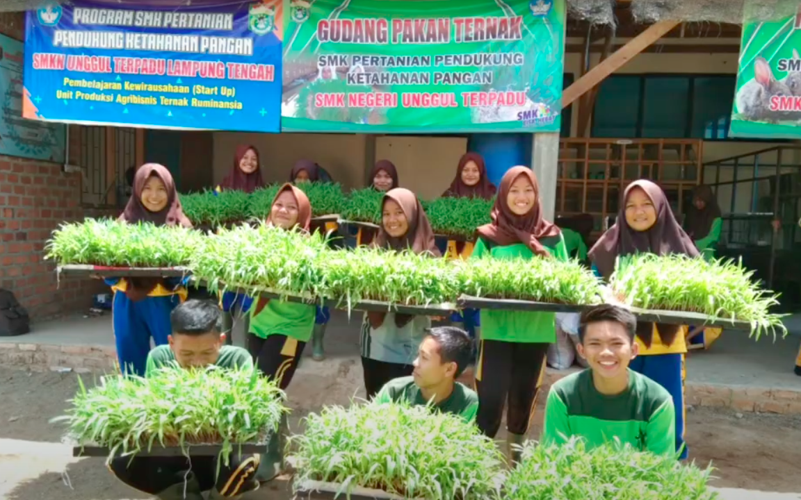 5 Peluang Karier Lulusan SMK Kompetensi Keahlian Agribisnis Ternak Ruminansia