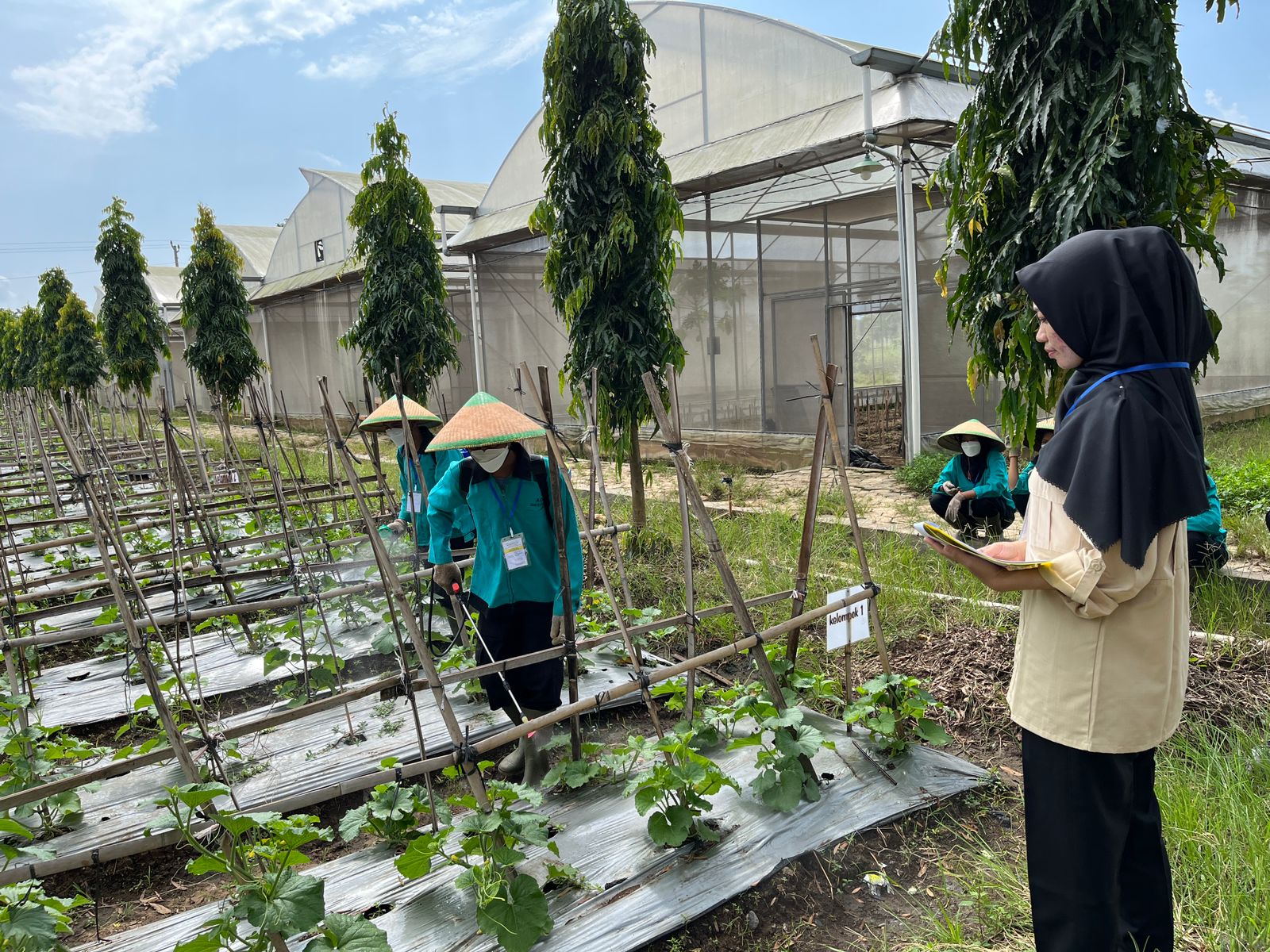 SMK Jurusan Agribisnis Organik Ekologi Belajar Apa Aja?