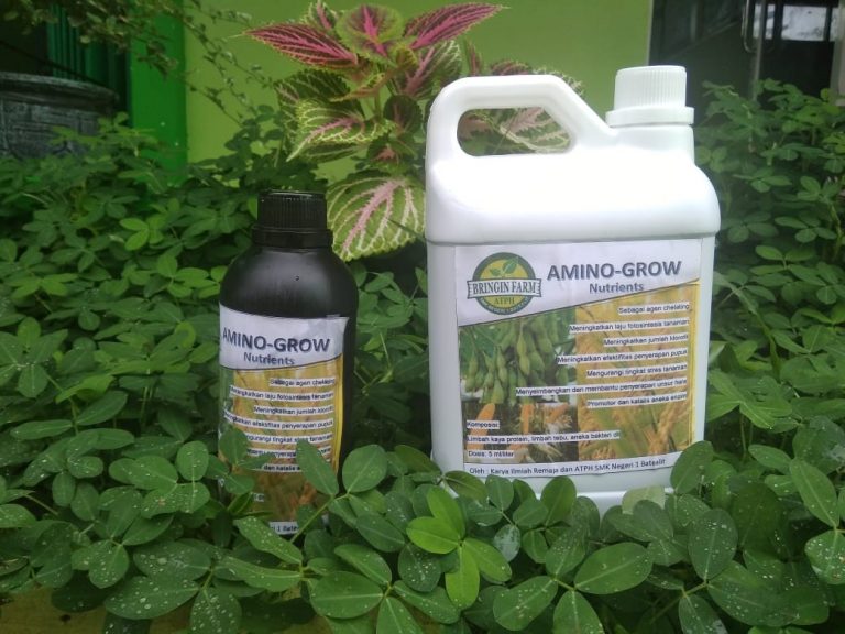 Pertanian Berkelanjutan, SMKN 1 Batealit Kembangkan Produk Amino Grow untuk Suplemen Tanaman