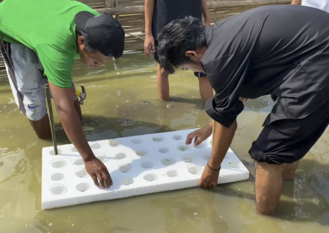 Ikut PKM, Mahasiswa Polije Rancang Aquafloatponic untuk Bantu Kurangi Pencemaran Air di Waduk Bondowoso