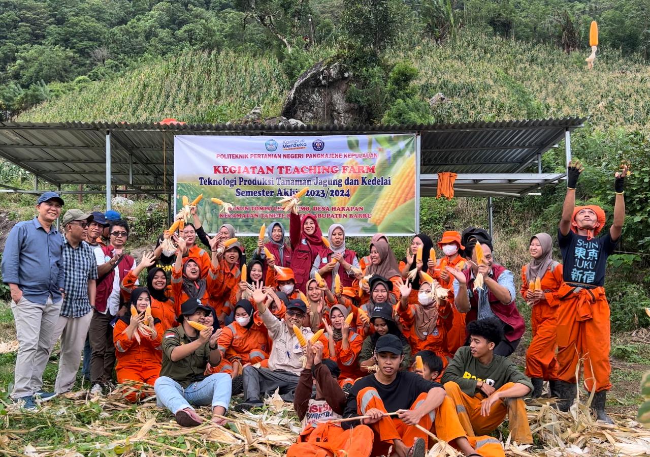 Melalui PBL, Mahasiswa Politani Pangkep Hasilkan Tanaman Jagung Tahan Penyakit  dengan Seed Coating Ekstrak Daun Kelor