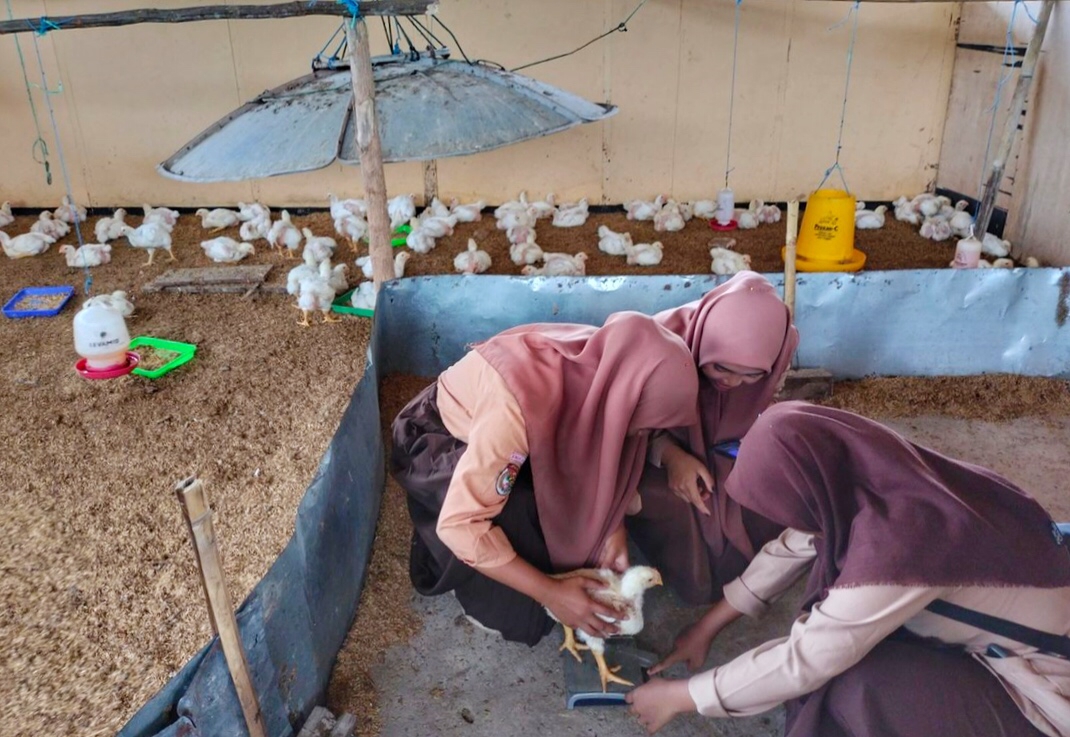 SMKN 1 Jagebob: Lentera dari Tanah Papua