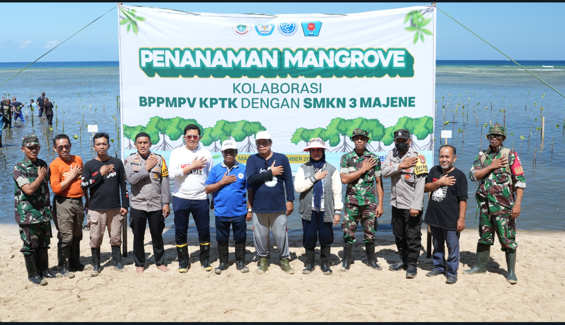 Kolaborasi BPPMPV KPTK dan SMKN 3 Majene Tanam Mangrove di Pesisir Majene