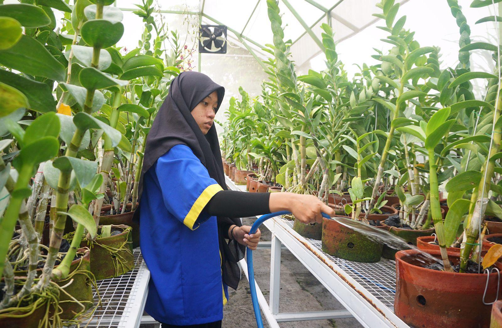 ‘Smart Green House' Siapkan Lulusan SMK Jadi Petani Modern 