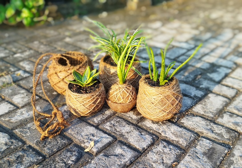 Mahasiswa Polines Ubah Sabut Kelapa jadi Produk Bernilai Ekonomis