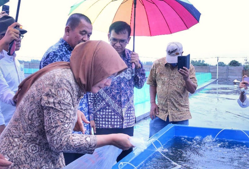 SMK Pusat Keunggulan Puger, Jember Resmikan Teaching Factory Tambak Udang untuk Pasar Ekspor