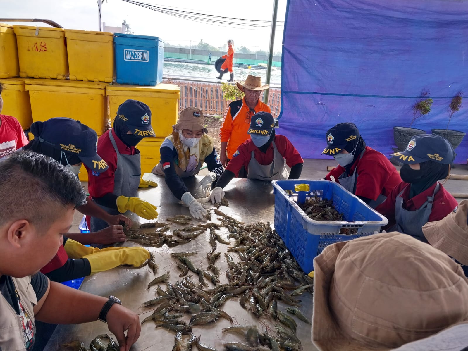 Lahirkan SDM Maritim Unggul, SMK Perikanan dan Kelautan Puger Dipuji Industri