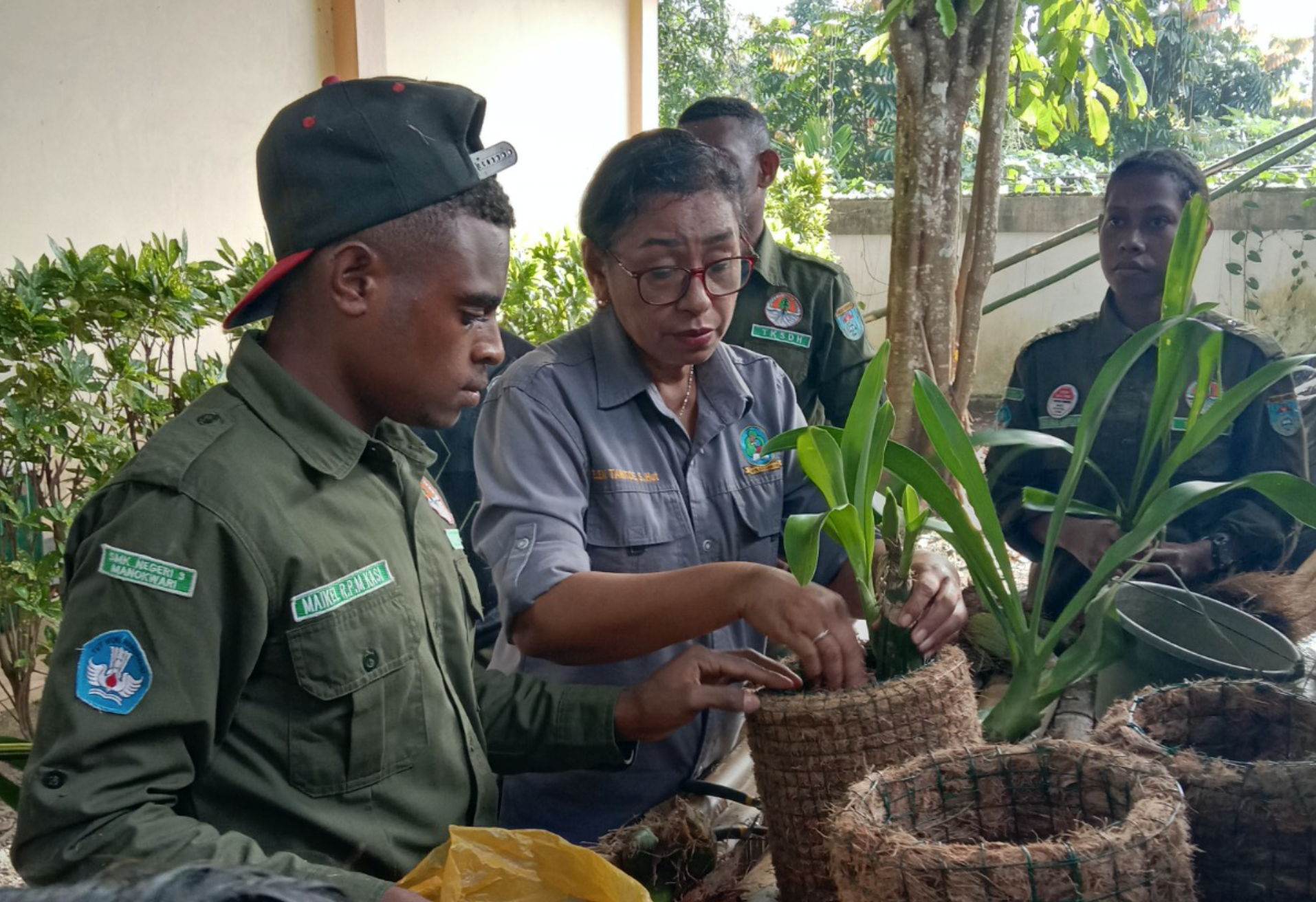 3 Cara Mudah Membuat Media Tanam Anggrek dari Sabut Kelapa Menurut SMKN 3 Manokwari