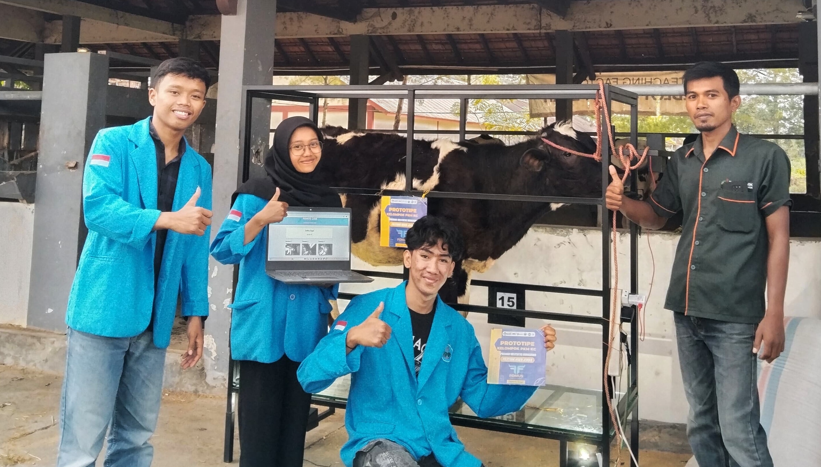 Atasi Penyakit Kuku dan Mulut pada Sapi, Mahasiswa Polije Berinovasi Ciptakan Fomus