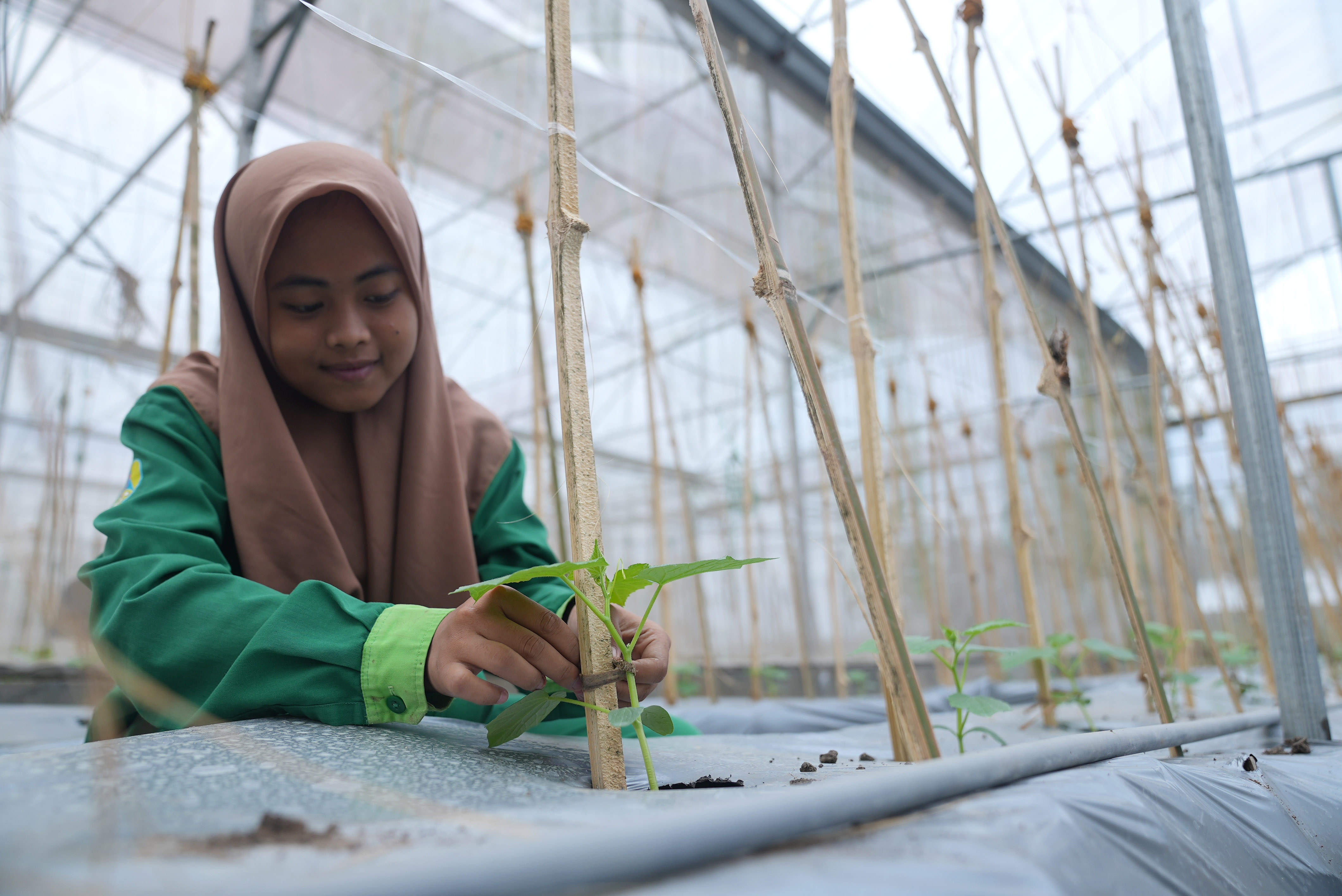 SMKN 5 Jember Hasilkan Benih Unggul Standar Industri melalui Kerja Sama Indonesia-Belanda