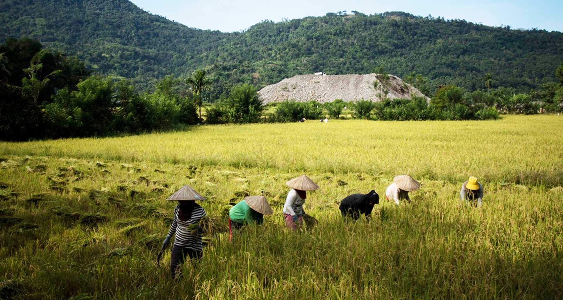 Milenial Jadi Petani Itu Keren!